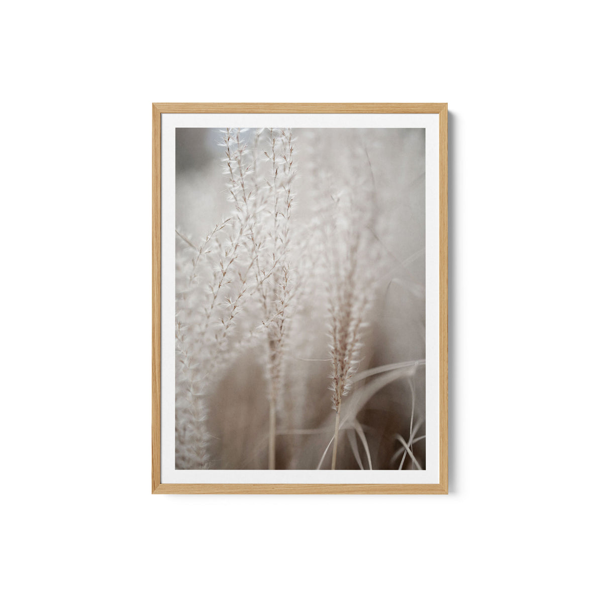Grass 18