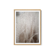 Grass 18 – image 2