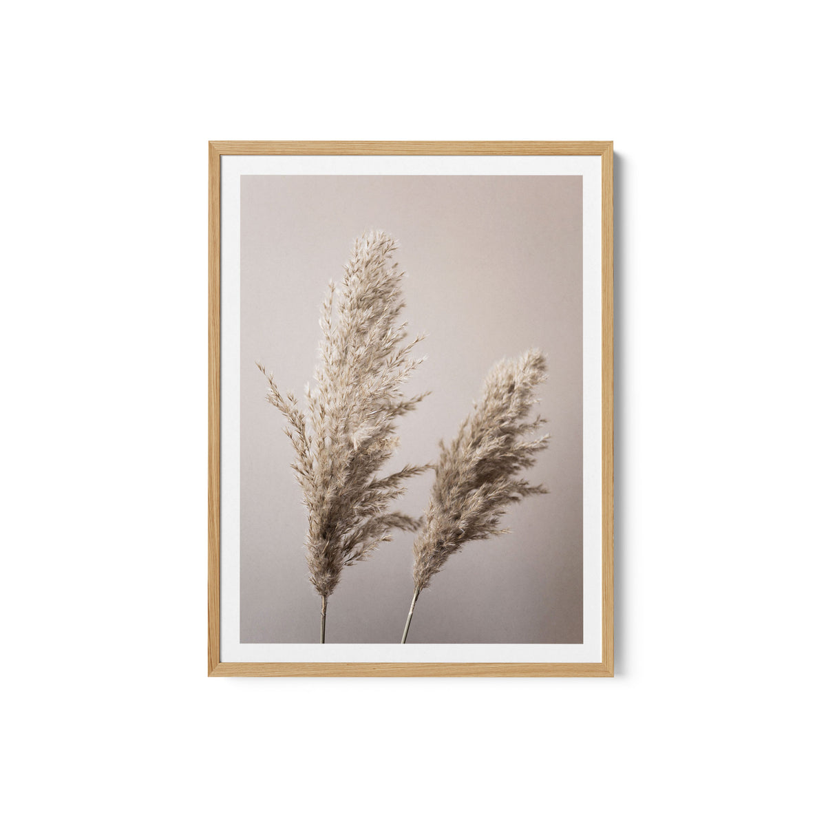 Grass 22X