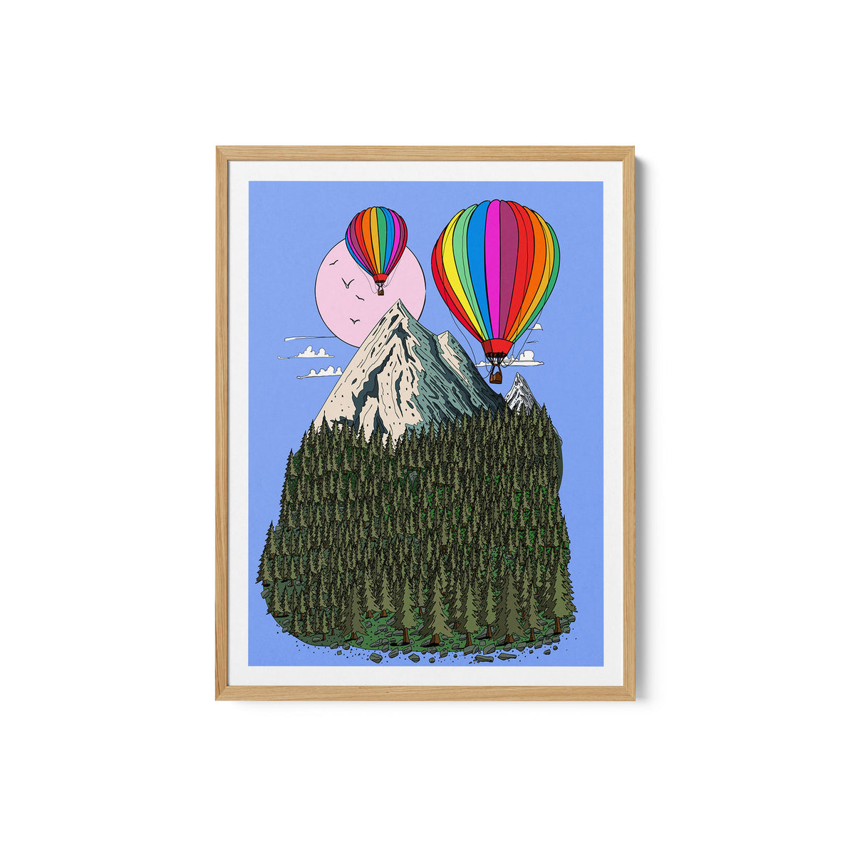 Hot Air Balloon Ride