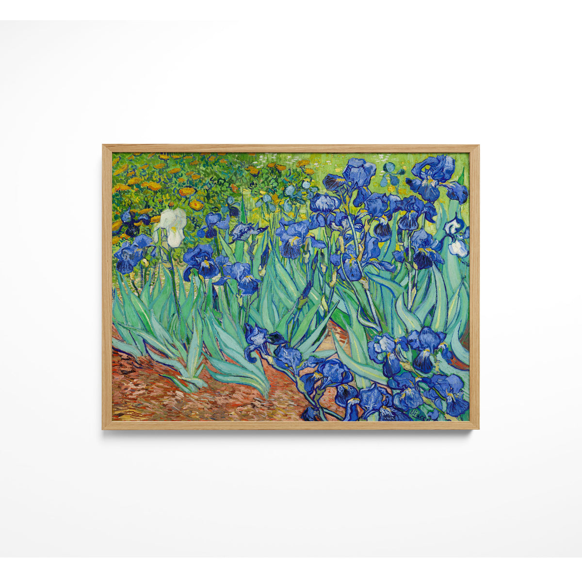Irises
