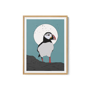 Puffin Standing on Rocks – image 2