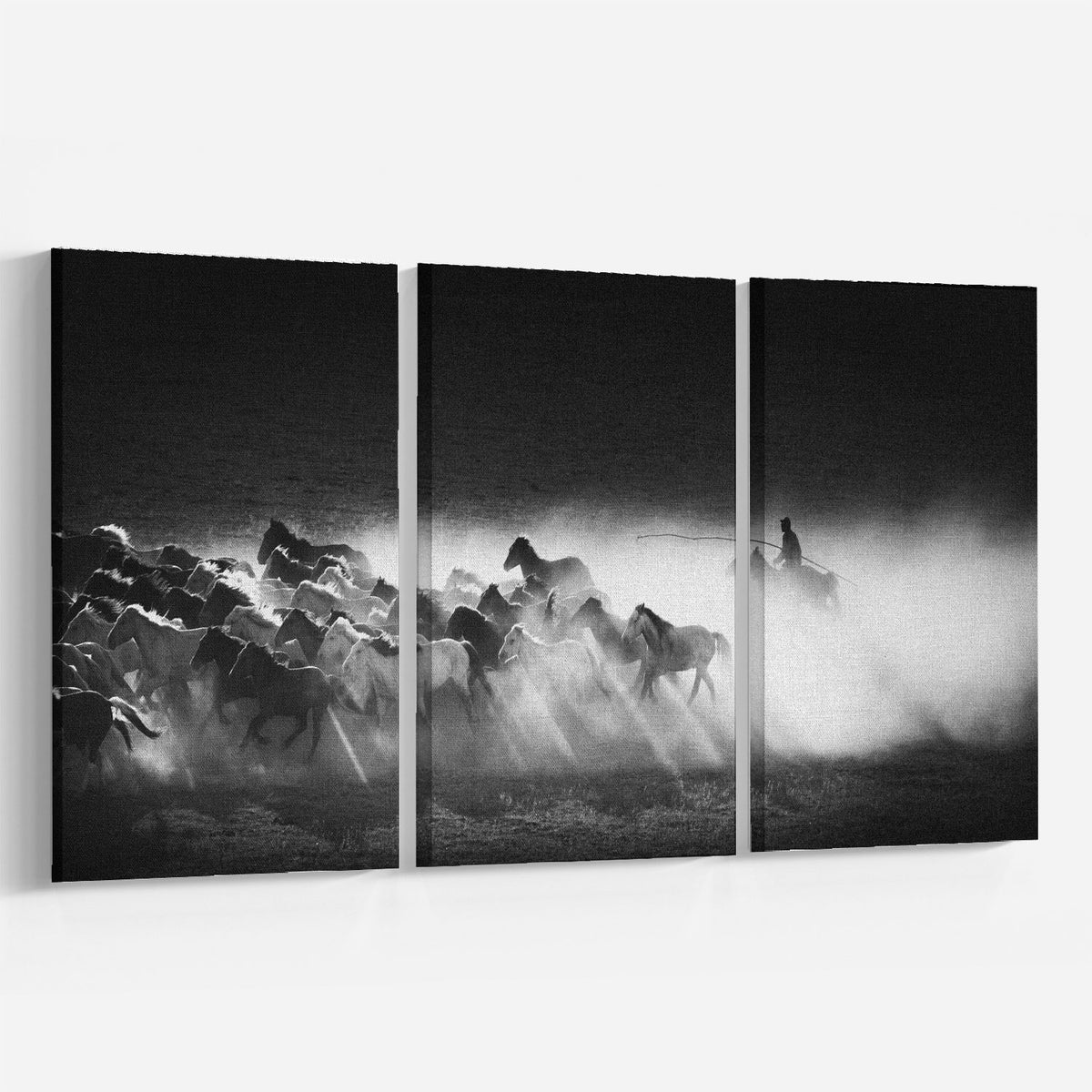Running Horses BW
