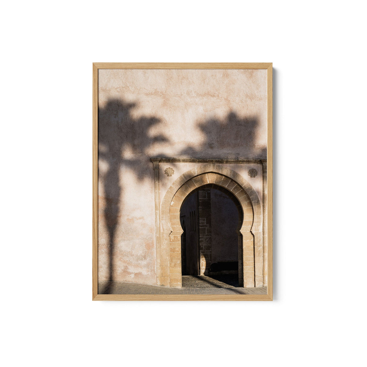 Shadow of a palm tree in Morocco