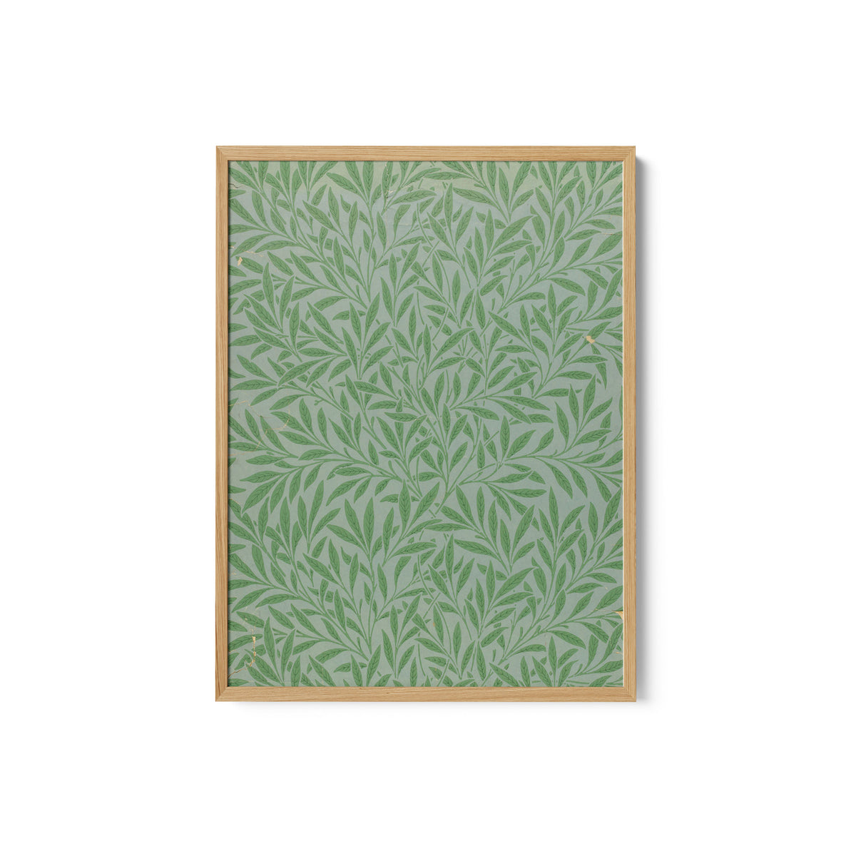 Sidewall, Willow, 1874 05