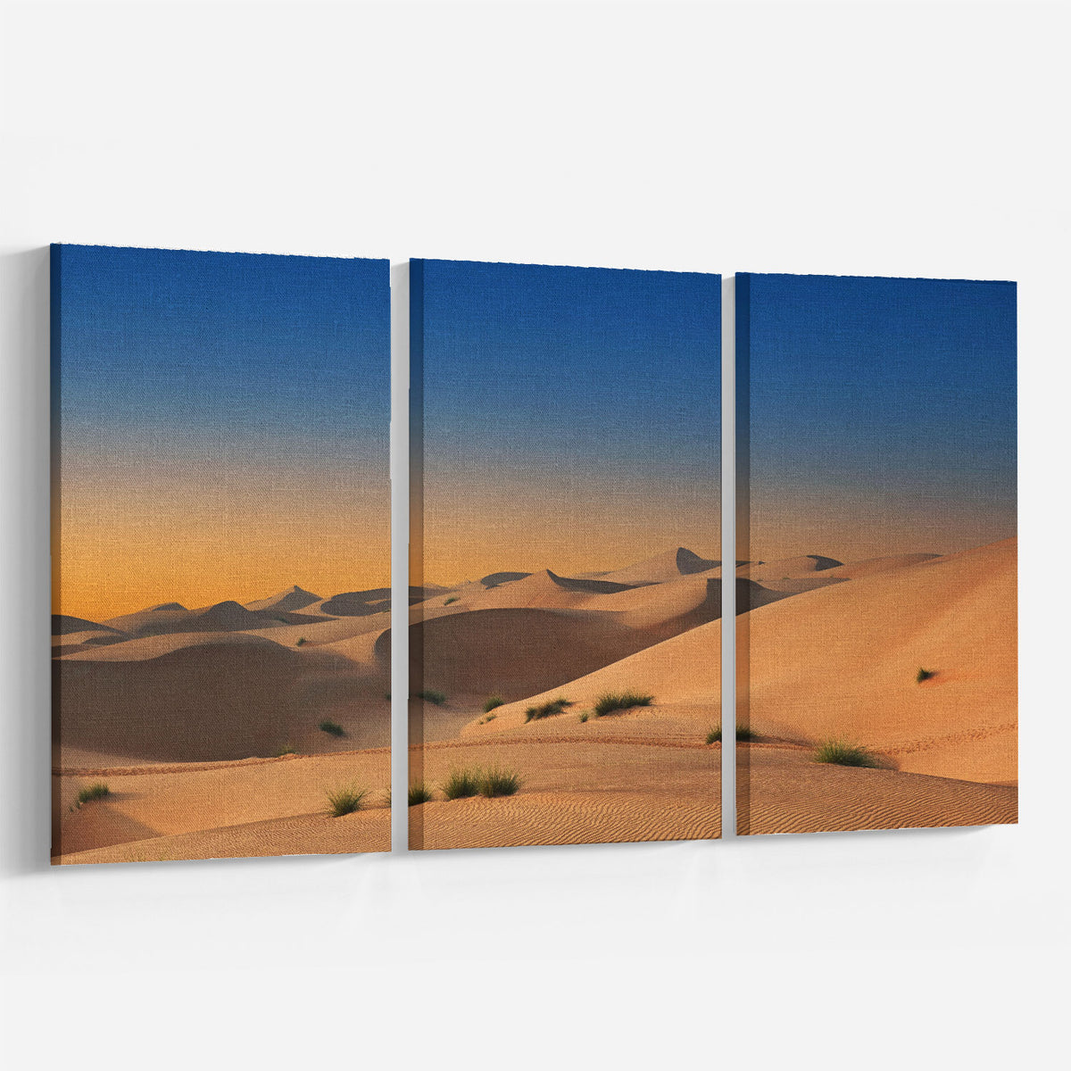 Soft Hues of the Sand Dunes