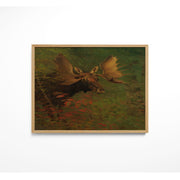 Study Of A Moose – image 2