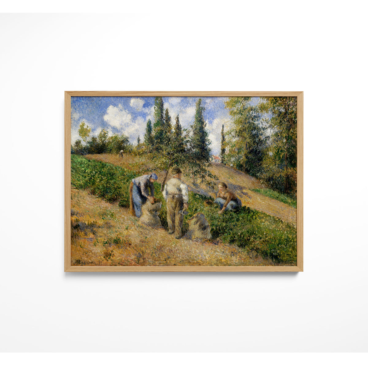 The Harvest, Pontoise