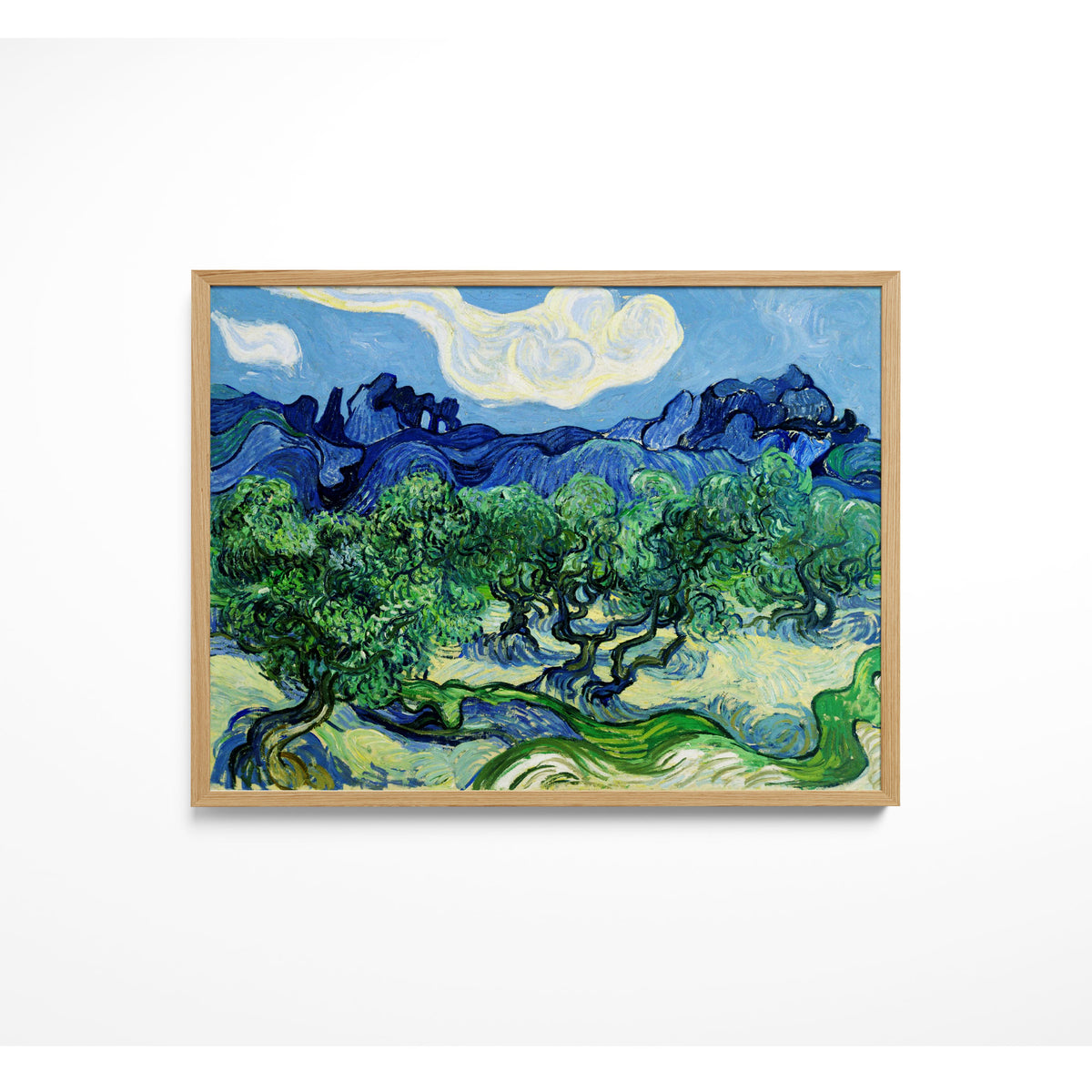 The Olive Trees