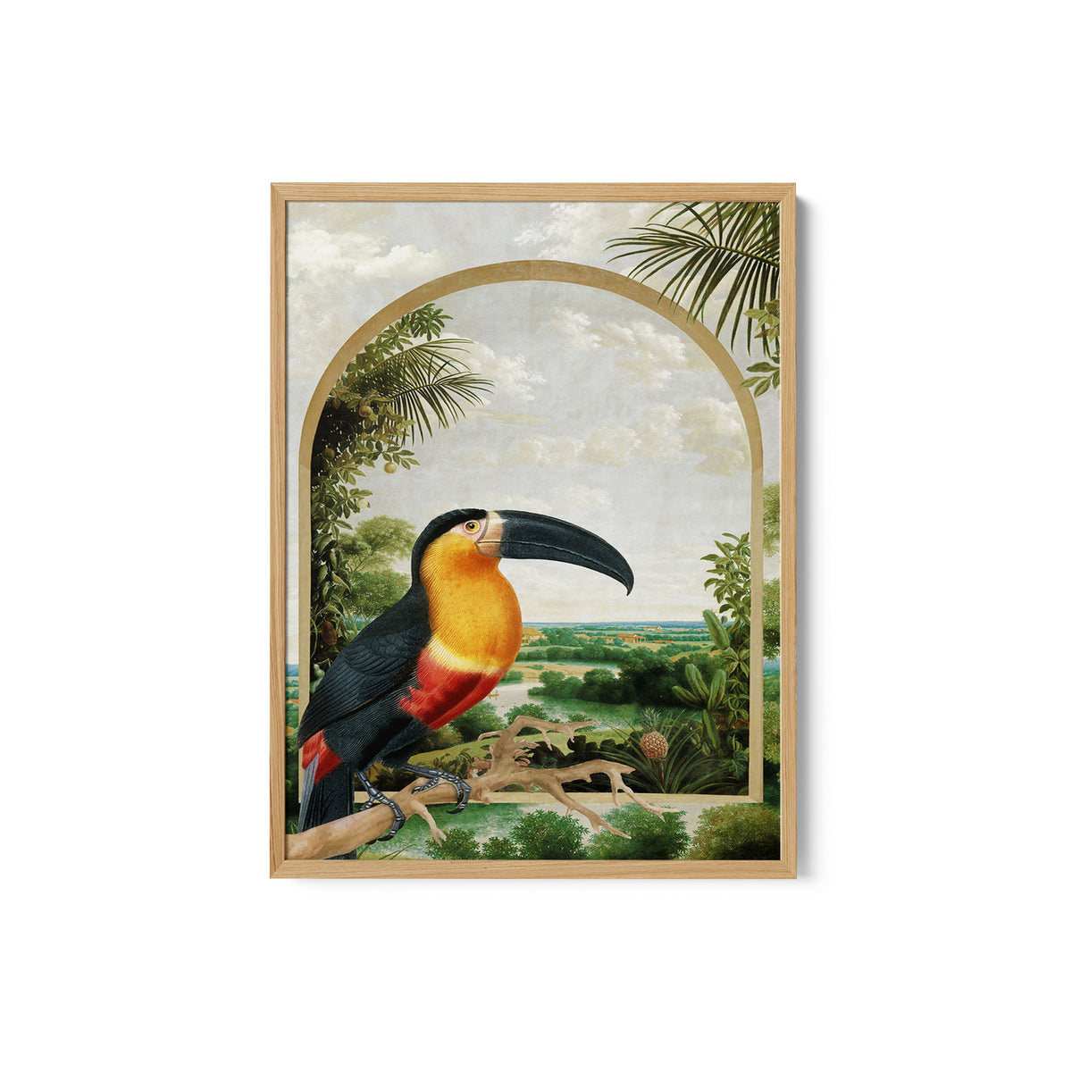 Toucan Perched on a Branch