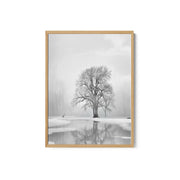 Tranquility after the snow – image 2