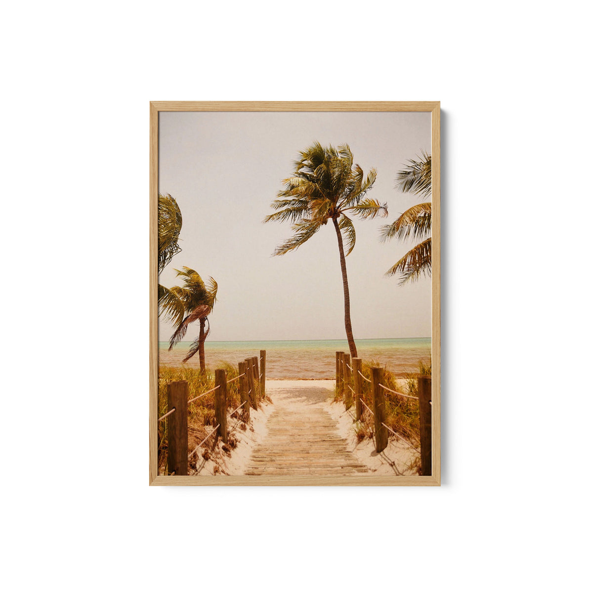 Tropical Paradise Vibes