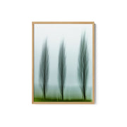 Unterterzen 202412 I – image 2