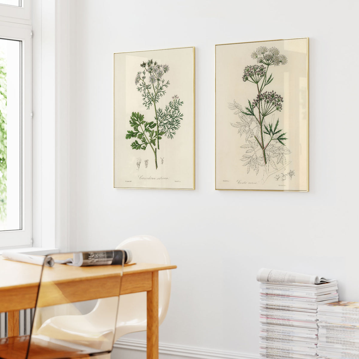 Vintage Botanical Illustrations