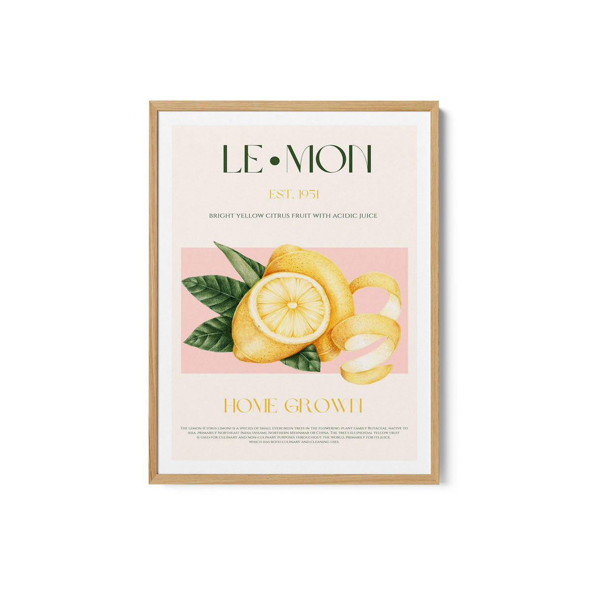 Vintage Style Sliced Lemon With Leaves