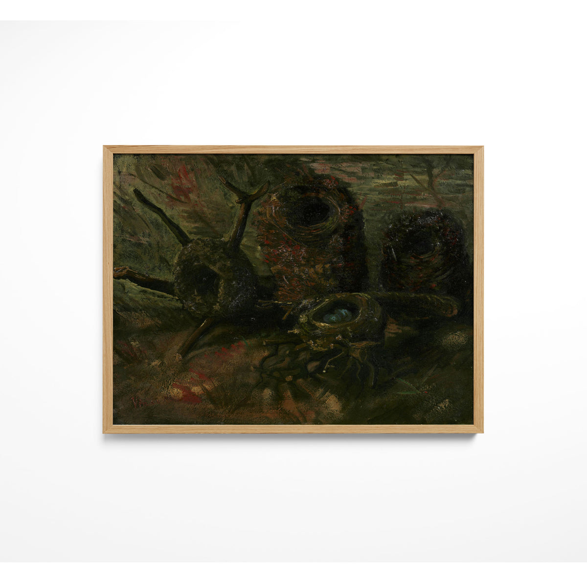 Bird Nests B