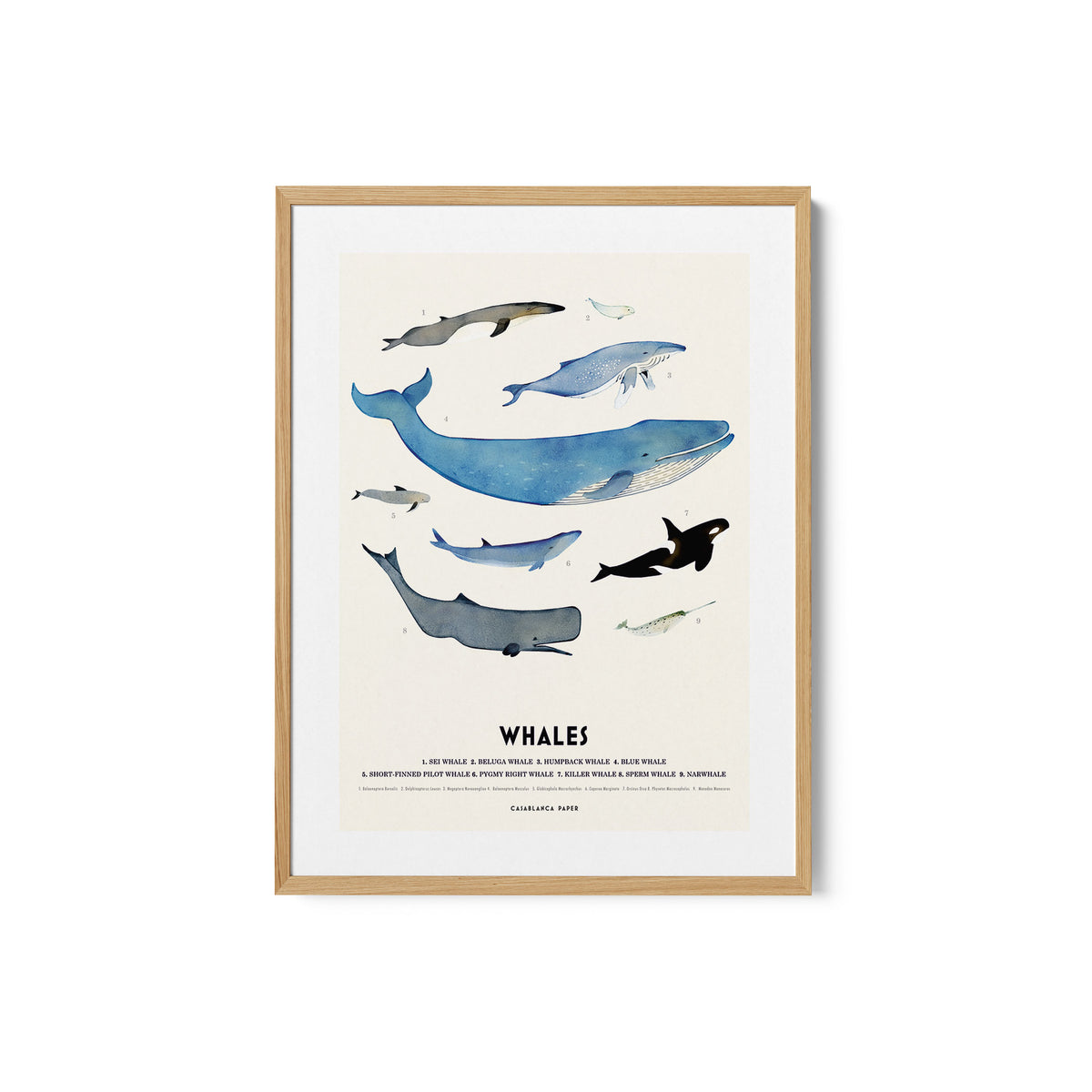 Whales