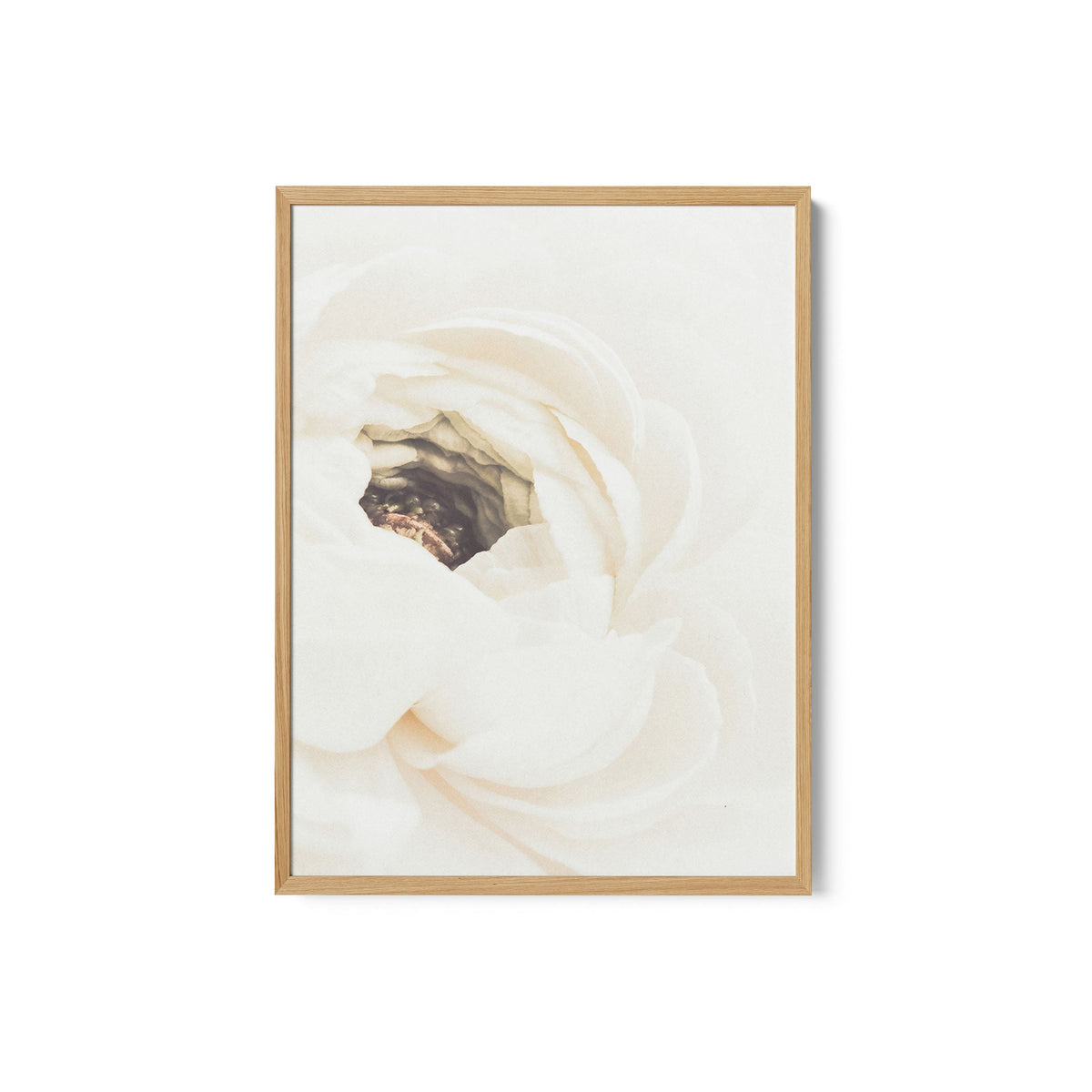 White Flower 01