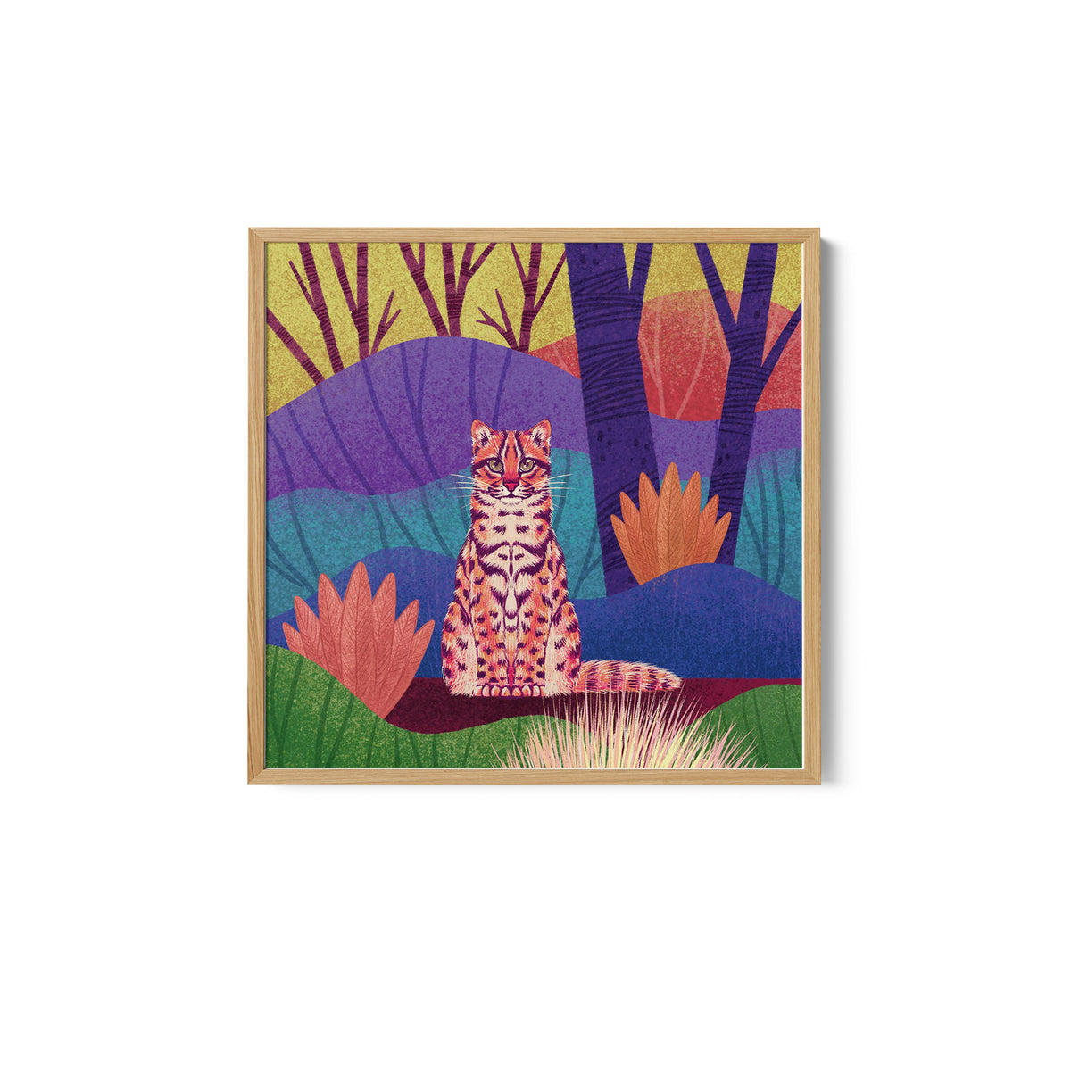 Wild Cat - Leopard Cat