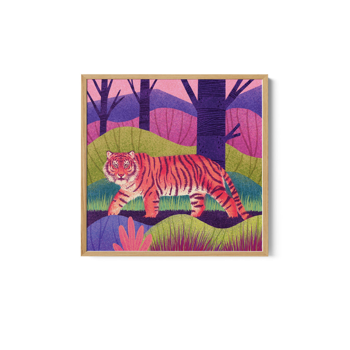 Wild Cat - Tiger