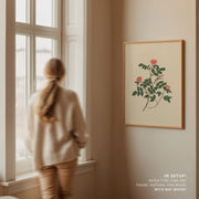 Wild Rose – image 3
