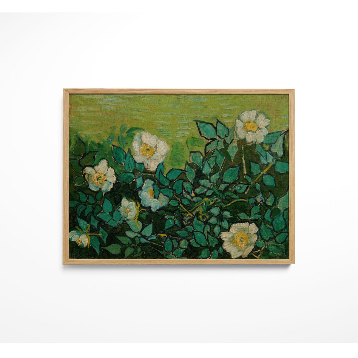 Wild Roses