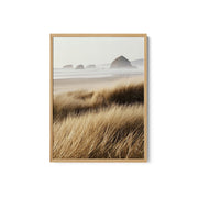 Windswept Grasses and Ocean View – image 2
