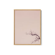Winter Branches And A Pink Sky – image 2