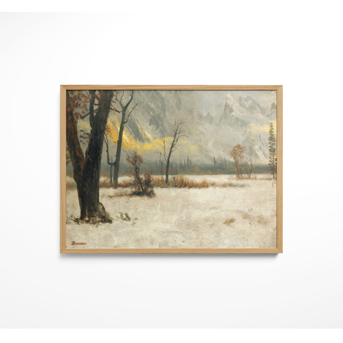 Winter Landscape