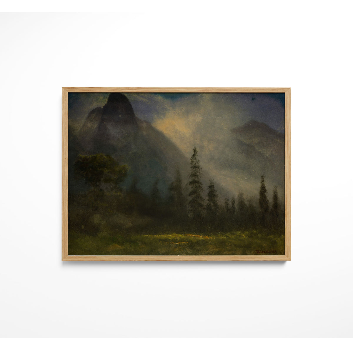 Grizzly Bear Valley