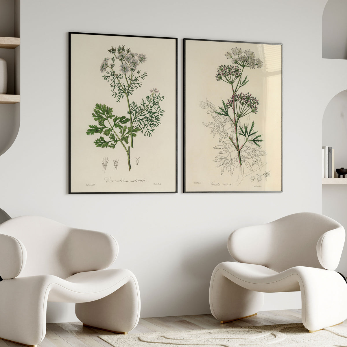 Vintage Botanical Illustrations