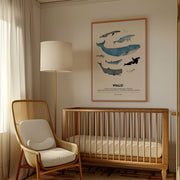 Whales – image 4