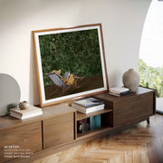 Pages And Sunshine – image 4
