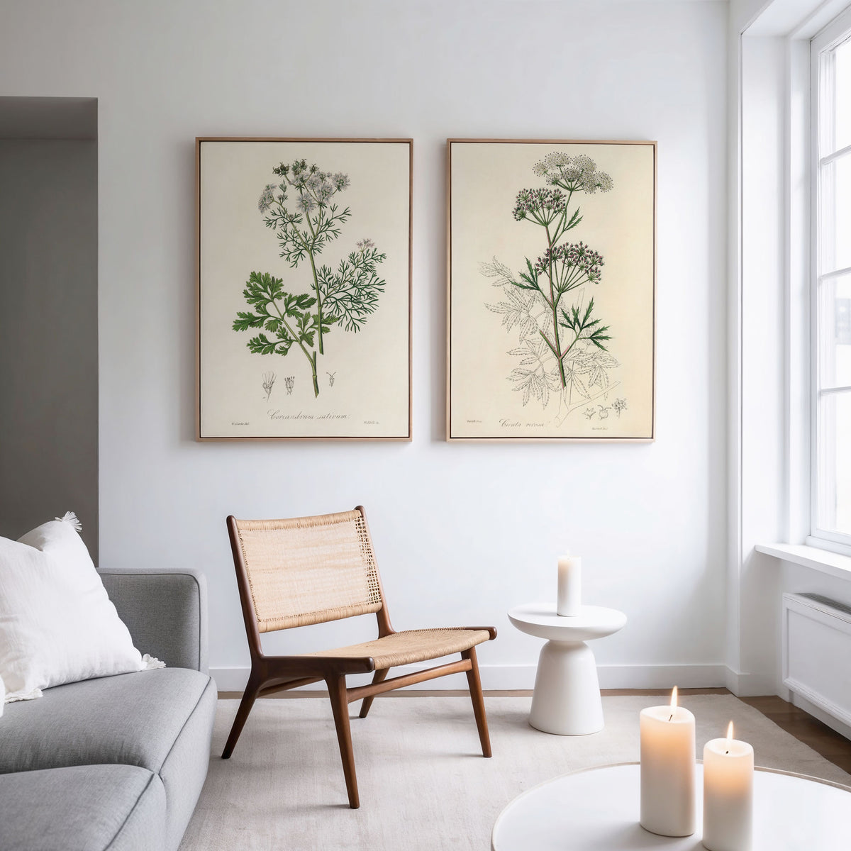 Vintage Botanical Illustrations
