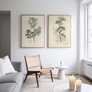 Vintage Botanical Illustrations – image 3