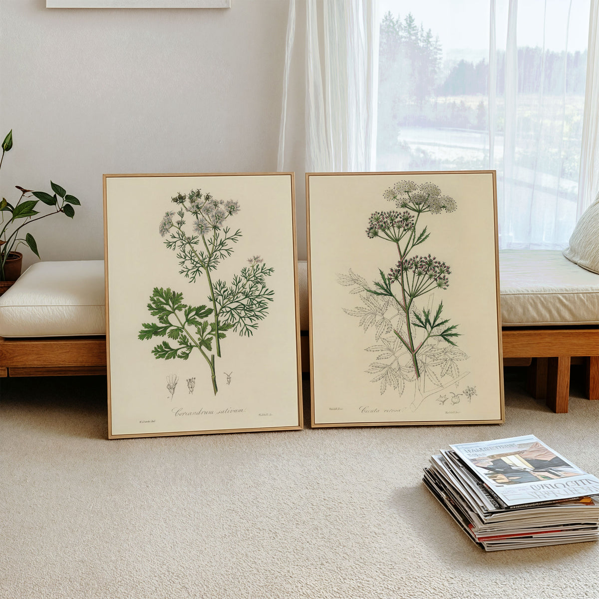 Vintage Botanical Illustrations