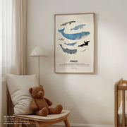 Whales – image 5