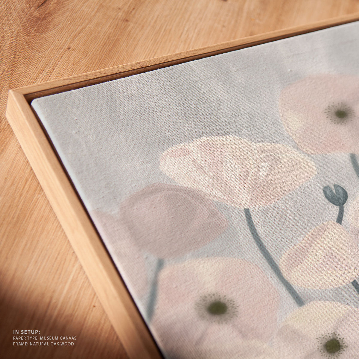 Light Poppies 03