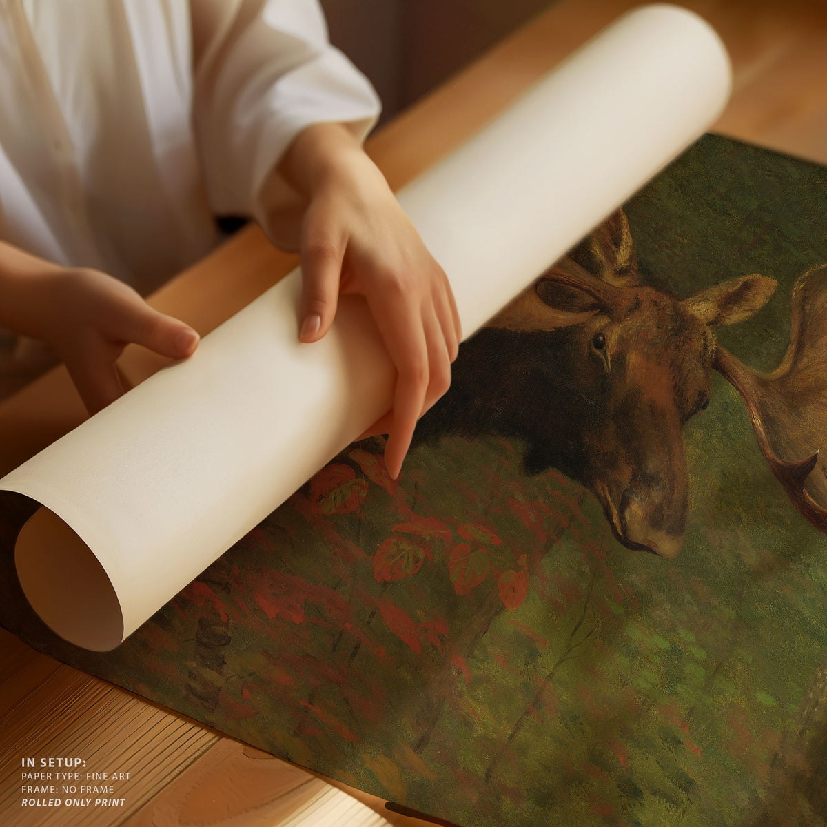 Study Of A Moose