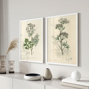 Vintage Botanical Illustrations – image 6
