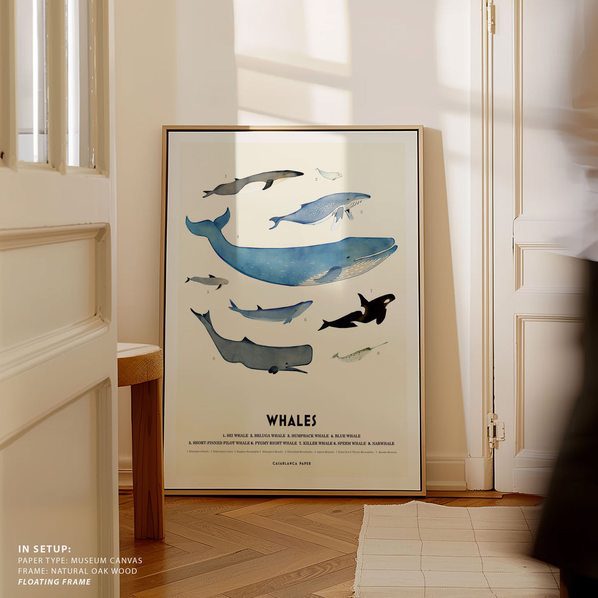 Whales