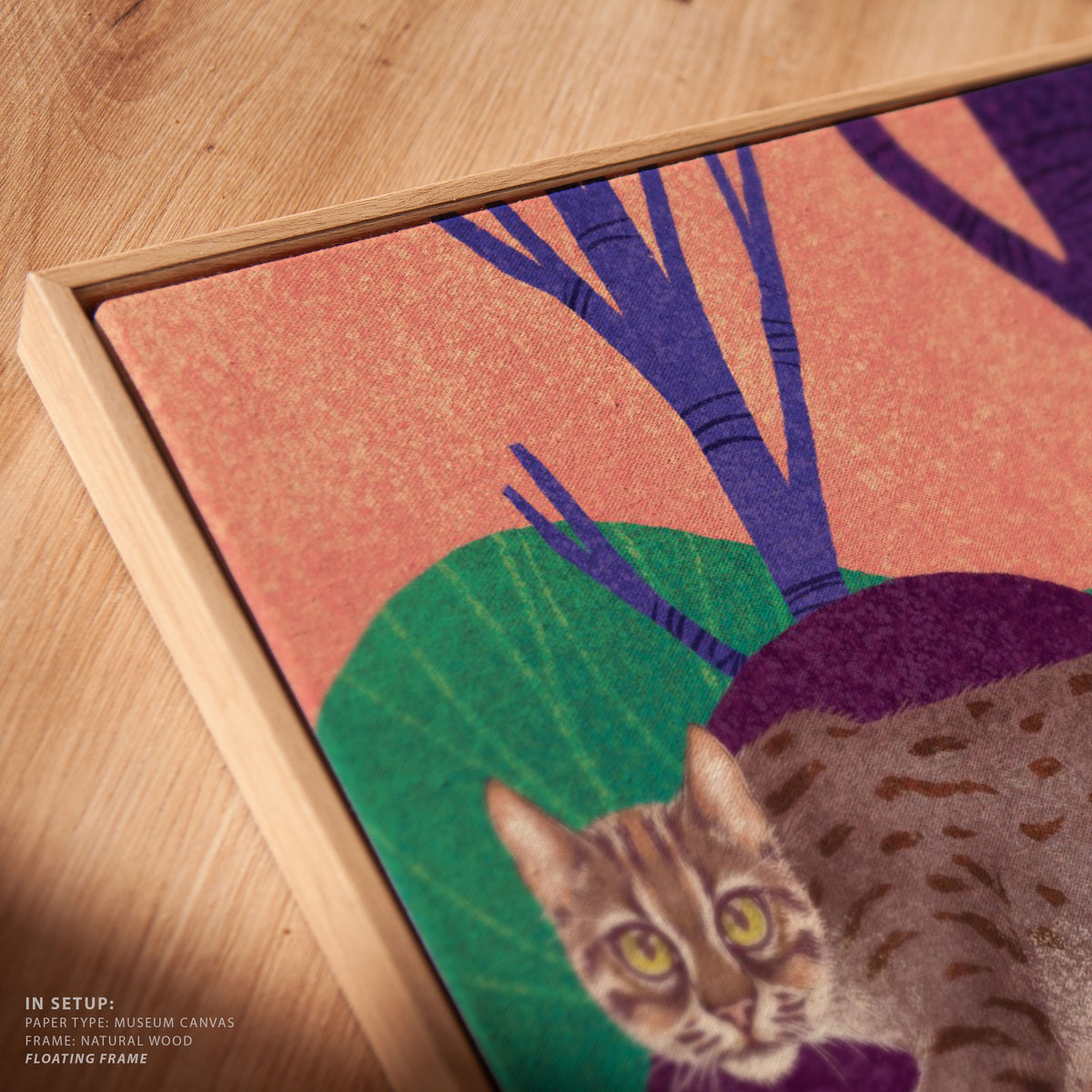 Wild Cat - Rusty Spotted Cat