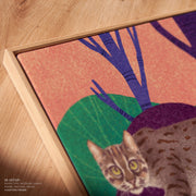 Wild Cat - Rusty Spotted Cat – image 6