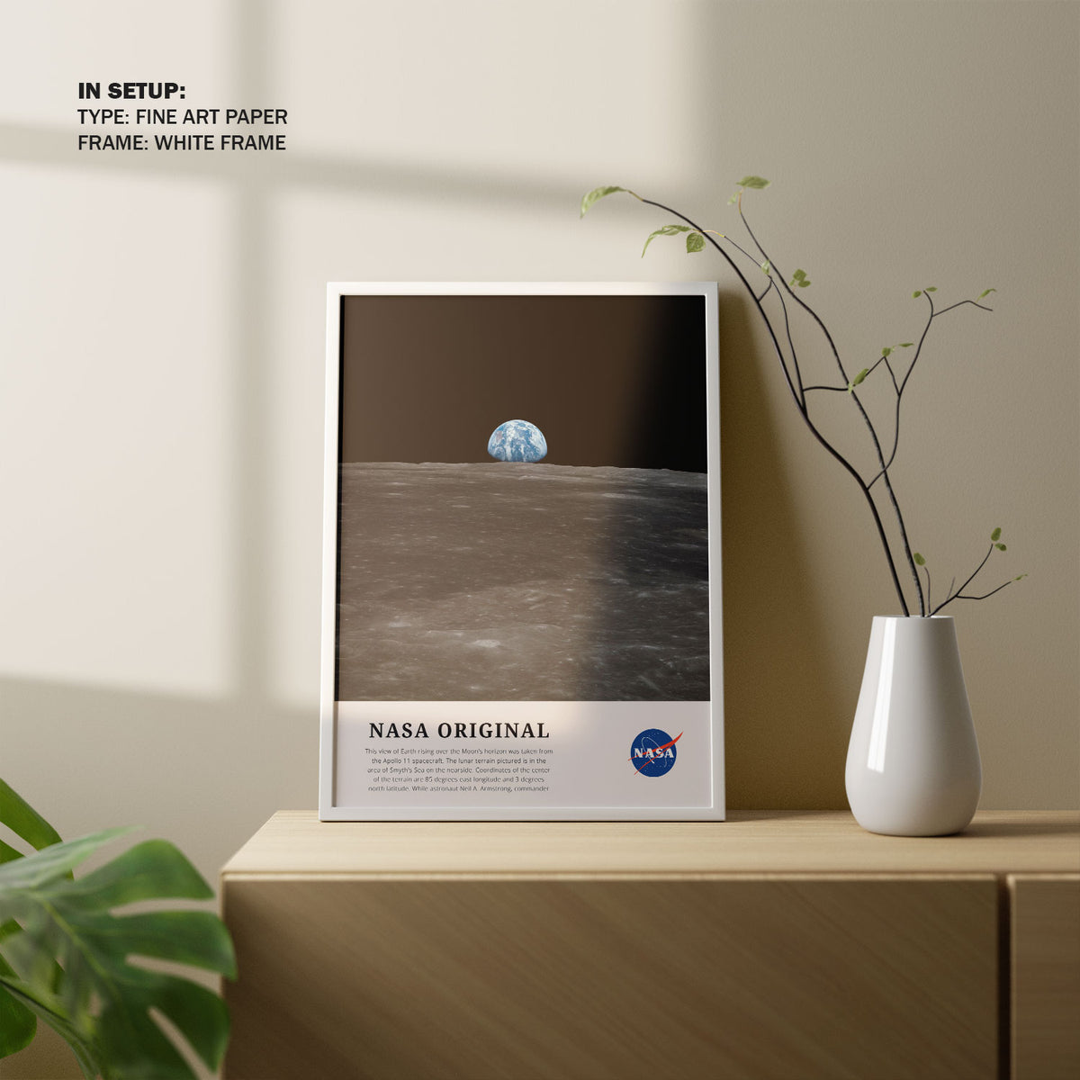 View Of Earth Nasa Art Posters